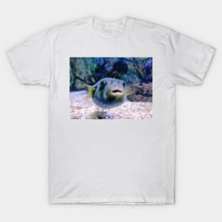 puffer fish, aquarium, puffer fish saying, guinea fowl puffer fish, blackspot puffer fish, dwarf puffer fish, pea puffer fish, aquaristics, giant puffer fish, aquarist, puffer fish owner, pumped up fish, fish owner, puffer, puffer fish lover T-Shirt